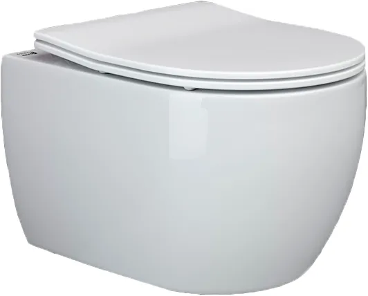 Комплект Подвесной унитаз FORMA Rimles CN3009+ Система инстал. Balance кнопка Circle CN121001CH