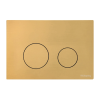 S240513 TECEspring Loop Панель смыва, нержавеющая сталь, gold PVD