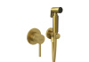KLUDI BOZZ Гигиенический душ со смесителем, со встраиваемой частью, Brushed Gold