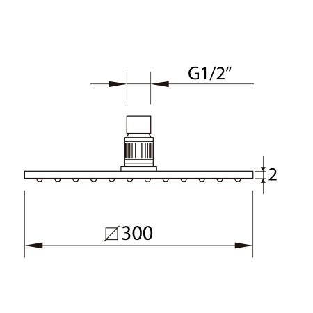 Верхний душ CLEVER SLIM INOX AIR , 300X300, нерж. сталь, оружейная сталь