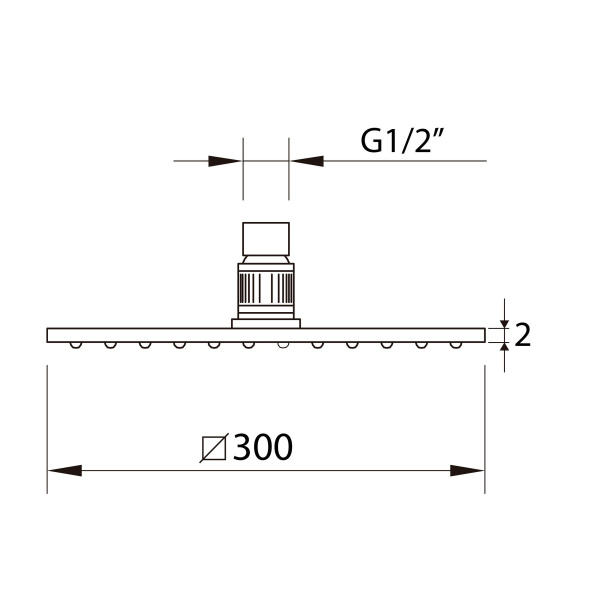 Верхний душ CLEVER SLIM INOX AIR , 300X300, нерж. сталь, оружейная сталь