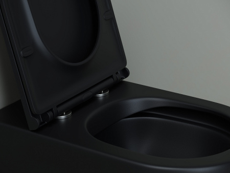 Ceramicanova Унитаз напольный пристенный Metropol Rimless,с ультратонким сид.,микролифт,черный мат.