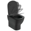 IS TESI AquaBlade® Унитаз напольный пристенный соло, Silk Black (Черный матовый)