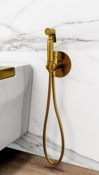 IO Гигиенический душ Round, брашированное золото