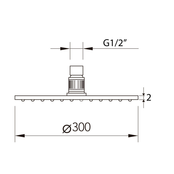 Верхний душ CLEVER SLIM INOX AIR ø300, круглый, нерж. сталь, хром